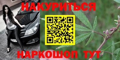 мдпв Татарск