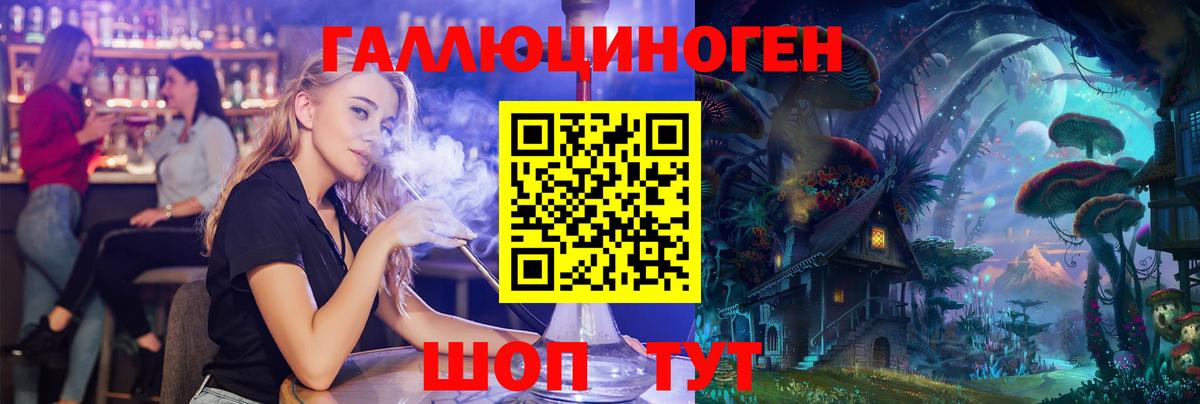 Михайловск  Псилоцибиновые грибы Psilocybe  закладка  Вход с VPN 